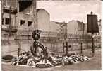 BERLIN...MAHNMAL FUR PETER FECHTER - Berlijnse Muur