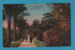 CP Cap D´Antibes - La Villa Eilenroc - Allée Des Palmiers - Animée écrite Et Circulée 1928 - Cap D'Antibes - La Garoupe