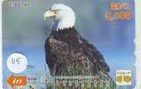 EAGLE - AIGLE - Adler - Arend - Águila -  Bird (115) - Arenden & Roofvogels