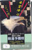 EAGLE - AIGLE - Adler - Arend - Águila -  Bird (7) - Arenden & Roofvogels