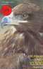 EAGLE - AIGLE - Adler - Arend - Águila -  Bird (104) - Eagles & Birds Of Prey
