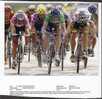 Cyclisme, Vélo, Photo-Presse : Tom Steels Et Erik Zabel (3e étape, Tour De France 2000 ), (15 Cm Sur 19 Cm) TBE - Radsport