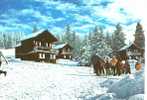 CARTE POSTALE DE CHATEL - LES PETITS CHALETS DE SUPER CHATEL - Châtel