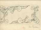 -DESSIN D´ECOLIER DES ANNEES 1910 SIGNE ET NOTE - Dessins