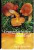 MUSHROOMS - Germany Old Card Mushroom Champignon Funghi Champignons Pilz Pilze Champinon Champinones Cogumelo Cogumelos - Food