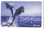 DOLPHINS ( Switzerland ) * Dolphin Dauphin Delfin Delphin Delfino Golfinho Dolfijn Dauphins * Fish Poisson Pesci Suisse - Dauphins