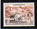 Cameroun:  1955 N° 300, Série F.I.D.E.S, Très Très Légères Traces De Charnière,TB* - 30% DE LA COTE - Altri & Non Classificati