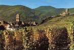 KAYSERSBERG SON EGLISE ET SON CHATEAU - Kaysersberg