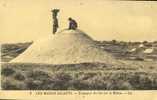 Les Marais Salants - Transport Du Sel Sur Le Mulon - Artisanat