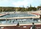 Savenay Cpsm Gf La Piscine - Savenay