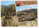 BARCELONNETTE (Alpes-de-Haute-Provence ) Vue Générale ; Le Chapeau De Gendarme Et Le Pain De Sucre; Cerf ; B/TB - Barcelonnette