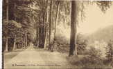 Tervueren Le Parc Promenade Près De L'etang /tervuren  Nr4 - Tervuren