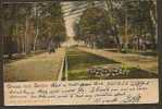 Gruss Aus Berlin -- VF Circulated 1904 Postcard From Berlin To New York - Sonstige & Ohne Zuordnung