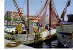 LA CIOTAT - Barques De Pêche Dans Le Port - La Ciotat