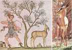 Mosaïque Du Bardo ( Tunisie) Et Gazelle Du Sahara - Ancient World