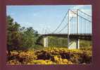 17188 La Roche-bernard Le Nouveau Pont Sur La Vilaine N°3 édit.artaud Belle Cpsm - La Roche-Bernard