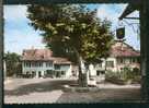 CPSM - Tannay - Sous Les Platanes (Ed. Perrochet) - Roche