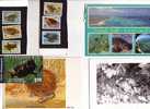 3 + 1 Carte De Tortue + Timbres / 3 + 1 Tortoise Card + Stamps - Schildpadden