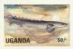 UGANDA 1985, Grey Bichir Fish 50s, IMPERF.  [non Dentelé,geschnitten,no Dentado,non Dentellato,ongetande] - Uganda (1962-...)