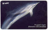 CROATIA - 1998/TK34 - Prugasti Dupin - Striped Dolphin - 500 Imp - 9/98 - 50.000 - MINT - Delphine