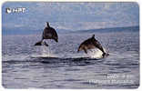CROATIA - 1998/TK35 - Dobri Dupin - Bottlenose Dolphin - 100 Imp - 2/98 - 50.000 - Dauphins