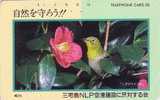 Télécarte Japon / 110-46185 - OISEAU Passereau / Fauvette Japonaise & Fleur - Japan Bird & Flower Phonecard - Vogel TK - Zangvogels