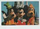 Walt Disney World Used In 1983 - Goofy Micky Mouse And Pluto - Disneyworld