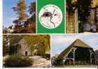 MILLY LA FORET -  4 Vues : Forêt Fontainebleau : Le Coquibus, Maison J. Cocteau, Chapelle St Blaise Des Simples, Halles - Milly La Foret