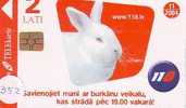 KONIJN Rabbit LAPIN Op Telefoonkaart (352) - Conejos