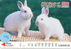 KONIJN Rabbit LAPIN Op Telefoonkaart (246) - Rabbits