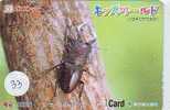 Bug - Punaise - Insect (33) - Other & Unclassified