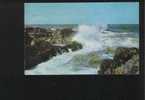 OGUNQUIT Postcard USA - Andere & Zonder Classificatie