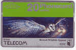 Telecarte - British Telecom 20 Units - British Wildlife Appeal - Chouette - BT Commemorative Issues