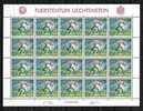 Liechtenstein** Feuille -  N° 964 -  Montagne - Blocks & Sheetlets & Panes