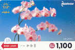 Carte Prépayée ORCHID (22) Orchidée Orquídea Orchidee Japon Japan - Bloemen