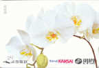 Carte Prépayée ORCHID (24) Orchidée Orquídea Orchidee Japon Japan - Fleurs