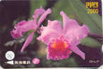 Carte Prépayée  ORCHID (28) Orchidée Orquídea Orchidee Japon Japan - Flowers