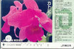 Carte Prépayée  ORCHID (31) Orchidée Orquídea Orchidee Japon Japan - Fleurs