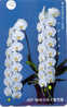Télécarte ORCHID (36) Orchidée Orquídea Orchidee Brasil - Bloemen