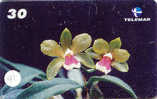 Télécarte ORCHID (41) Orchidée Orquídea Orchidee Brasil - Fleurs