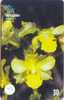 Télécarte ORCHID (42) Orchidée Orquídea Orchidee Brasil - Fleurs