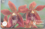 Télécarte ORCHID (55) Orchidée Orquídea Orchidee Brasil - Bloemen
