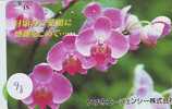 Télécarte ORCHID (98) Orchidée Orquídea Orchidee Japon Japan Phonecard - Fleurs