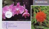 Télécarte ORCHID (105) Orchidée Orquídea Orchidee Japon Japan Phonecard - Flowers