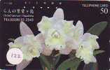 Télécarte ORCHID (122) Orchidée Orquídea Orchidee Japon Japan Phonecard - Fleurs