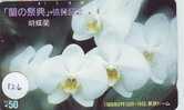 Télécarte ORCHID (126) Orchidée Orquídea Orchidee Japon Japan Phonecard - Fleurs