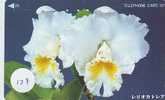 Télécarte ORCHID (127) Orchidée Orquídea Orchidee Japon Japan Phonecard - Fleurs
