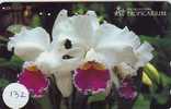 Télécarte ORCHID (132) Orchidée Orquídea Orchidee Japon Japan Phonecard - Fleurs
