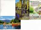 3 Carte Sur La Peche - 3 Postcard On Fishing - Angelsport