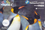 Oiseau PENGUIN Pinguin MANCHOT PINGOUIN Bird (234) - Pingueinos